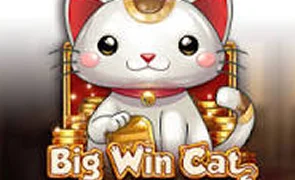 Big Win Cat